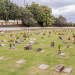 Macaé prepara cemitérios para o Dia de Finados, com manutenção, controle de pragas, visitação das 7h às 18h e missas no Memorial Mirante da Igualdade.