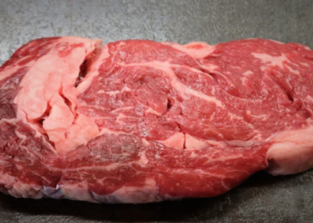 Brasil abre 38 novos mercados para carne bovina desde 2023, enquanto enfrenta tarifa de 67% na China e restrições sanitárias da União Europeia.
