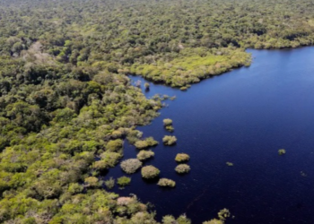 Estudo da FGV estima que a queda do desmatamento na Amazônia e no Cerrado pode ter evitado R$ 1,16 trilhão em prejuízos climáticos globais entre 2023 e 2026.