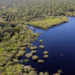 Estudo da FGV estima que a queda do desmatamento na Amazônia e no Cerrado pode ter evitado R$ 1,16 trilhão em prejuízos climáticos globais entre 2023 e 2026.