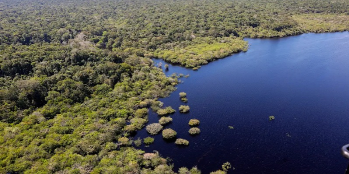 Estudo da FGV estima que a queda do desmatamento na Amazônia e no Cerrado pode ter evitado R$ 1,16 trilhão em prejuízos climáticos globais entre 2023 e 2026.