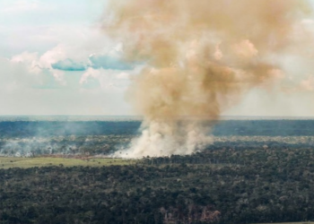 Brasil reduziu em 9% as emissões líquidas de gases de efeito estufa em 2025. Queda do desmatamento impulsionou o resultado, mas outros setores ainda preocupam.