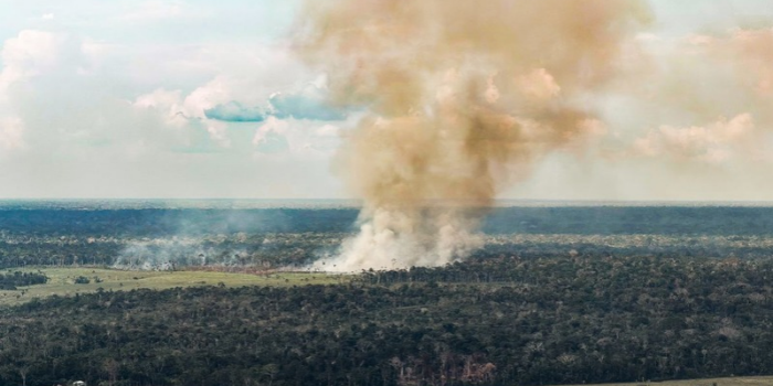 Brasil reduziu em 9% as emissões líquidas de gases de efeito estufa em 2025. Queda do desmatamento impulsionou o resultado, mas outros setores ainda preocupam.