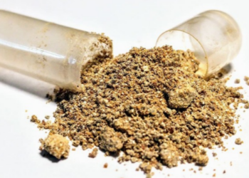 Anvisa alerta para os riscos da ashwagandha, erva popular no TikTok para relaxamento e sintomas da perimenopausa, sem autorização para uso em suplementos no Brasil.