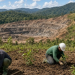 ANM abre consulta pública até 29 de dezembro de 2026 para discutir novas regras de fechamento de minas, recuperação ambiental e prevenção de impactos sociais.