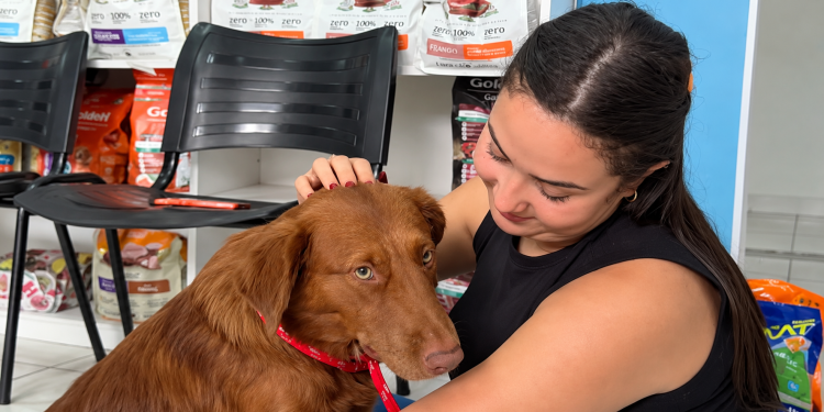 Cachorro Chocolate é adotado após ser espancado na zona rural de Macaé. Animal segue em recuperação e caso será encaminhado à polícia.